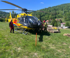 Byk zaatakował mężczyznę na posesji w Beskidach. Potrzebna była pomoc LPR