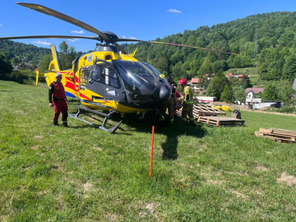 Groźny atak byka w Nieledwi. Poszkodowany trafił do szpitala