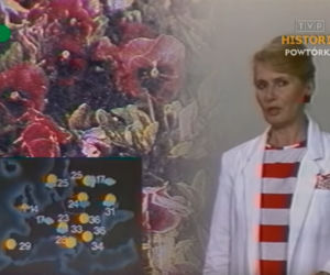 Elżbieta Sommer, pani Chmurka