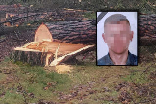 Tragedia pod Mińskiem Mazowieckim. Konar zmiażdżył 32-letniego Pawła