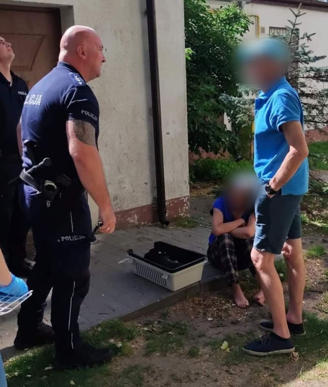 Wyrzuciła psa przez okno