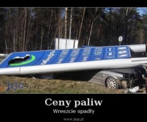 Ceny paliw to dramat! Zobacz najlepsze MEMY! Śmiech przez łzy