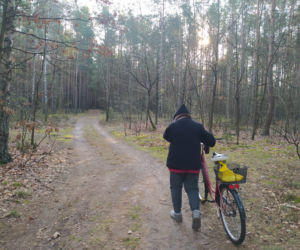 Chłopak zamordował Anię w lesie