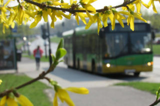 Nowe zasady w komunikacji miejskiej. Ile osób pojedzie autobusem? Co z maseczkami?