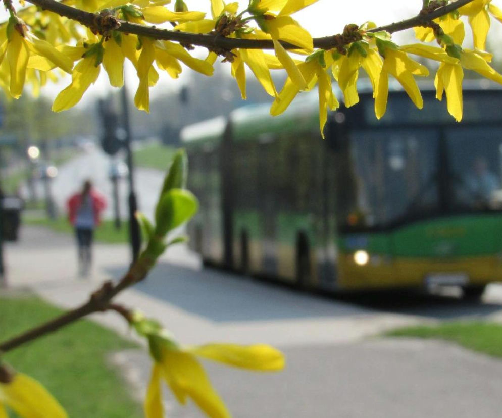 Jak wyglądać będzie komunikacja miejska w Wielkanoc? 