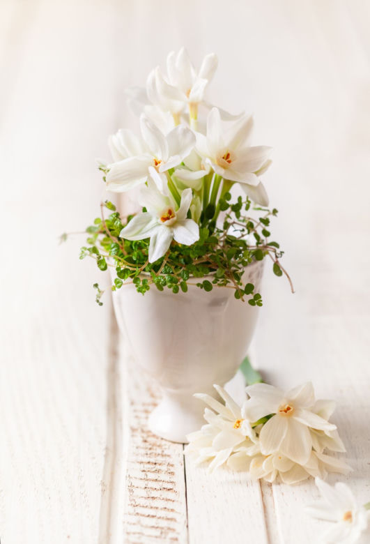 ThinkstockPhotos-533474801.jpg