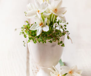 ThinkstockPhotos-533474801.jpg