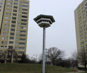 Na to wydali 50 tys. zł z budżetu obywatelskiego