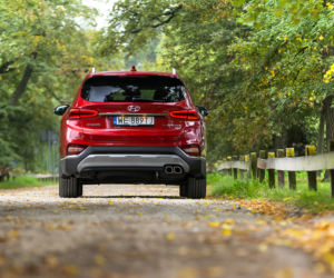 Hyundai Santa Fe 2.0 CRDi 185 KM 8AT 4WD Platinum