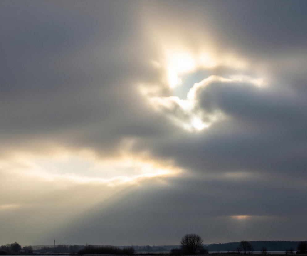Na zdjęciu dominuje pochmurne niebo, z szarymi, gęstymi chmurami pokrywającymi większą część kadru. W centrum górnej partii widoczny jest jasny, biało-żółty prześwit, przez który promienie słońca przebijają się w dół, tworząc słupy światła. Po lewej stronie, niżej, również widoczny jest jaśniejszy obszar na niebie, z którego także rozchodzą się promienie świetlne, oświetlając niższe warstwy atmosfery. Horyzont wyznacza ciemny pas lądu, składający się z rzędów drzew i krzewów o ciemnych, nagich gałęziach.