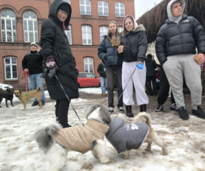 Marsz Piesków w Lesznie
