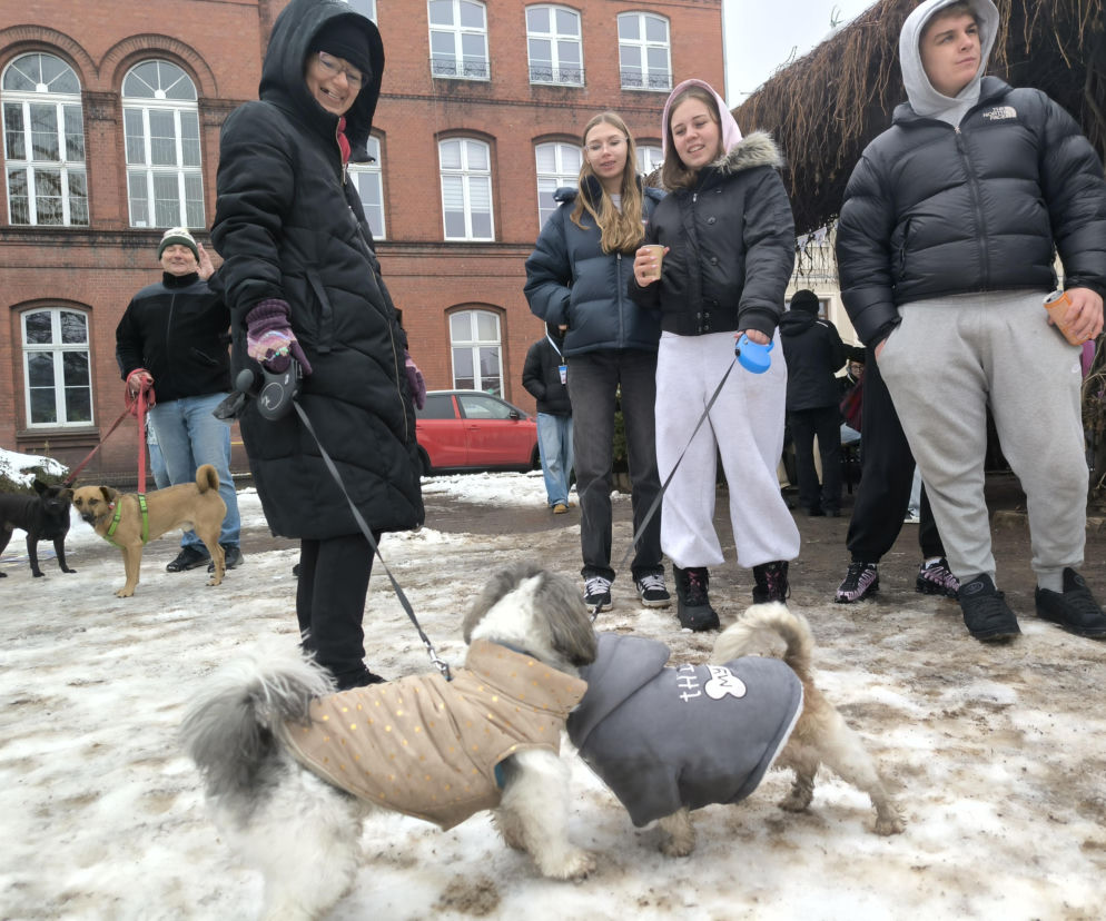 Leszczyński Marsz Piesków. Integracja mimo zimowej aury