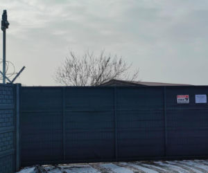 Tu trafiły psy uratowane ze schroniska w Sobolewie. Byliśmy na miejscu