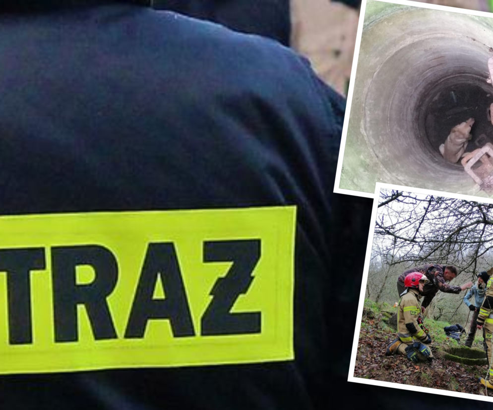 Suczka wpadła do głębokiej studni. Z pomocą ruszyli strażacy i wolontariusze TOZ