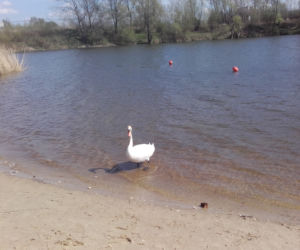 Miejsca na randkę w Rzeszowie