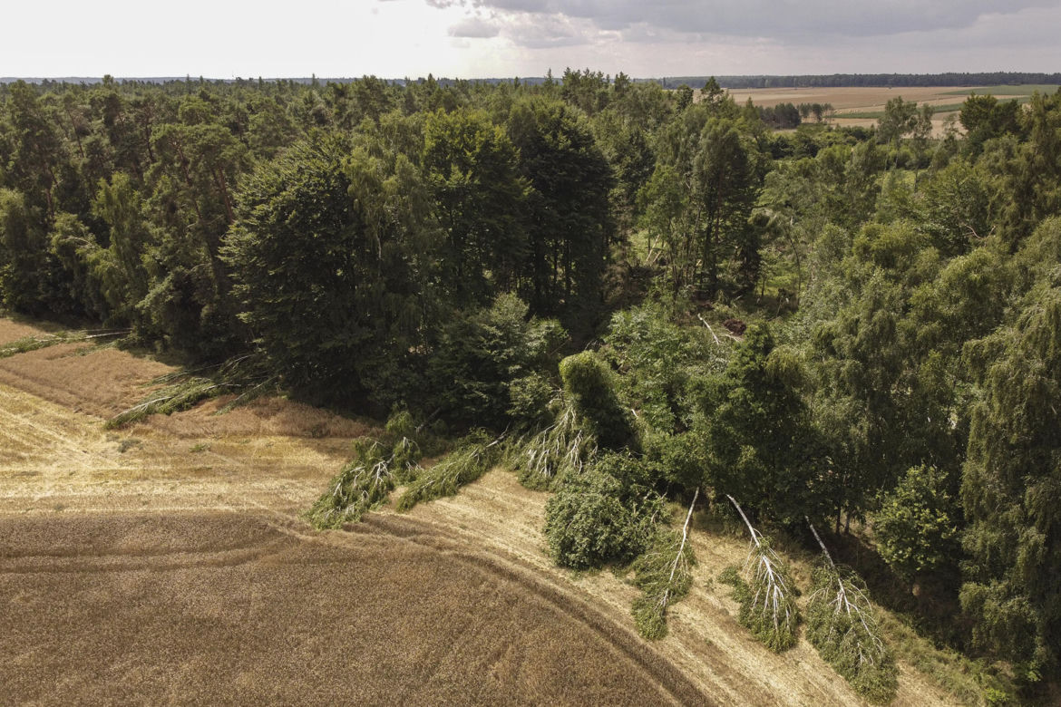 Nawałnica pod Sycowem