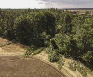 Nawałnica pod Sycowem