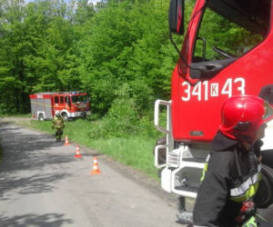 Ucieczka krowy zakończyła się nieszczęśliwym wypadkiem