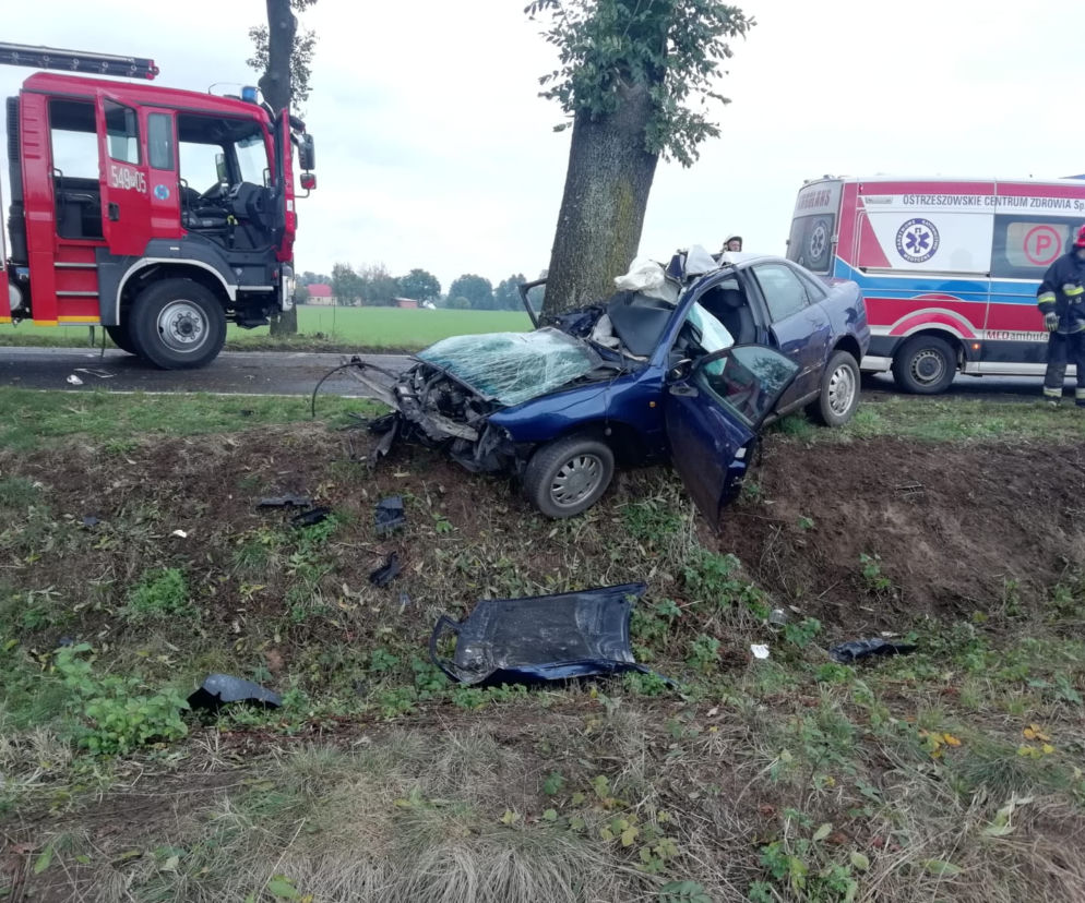 Kuźnica Bobrowska: 20-latka ZJECHAŁA z drogi i uderzyła w drzewo! Z auta nic nie zostało [ZDJĘCIA] 