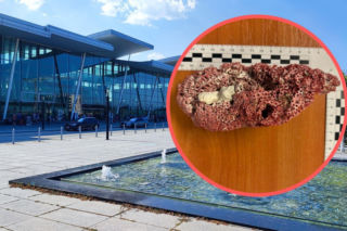 Przywiózł to z rajskich wakacji. Na lotnisku we Wrocławiu przeżył szok