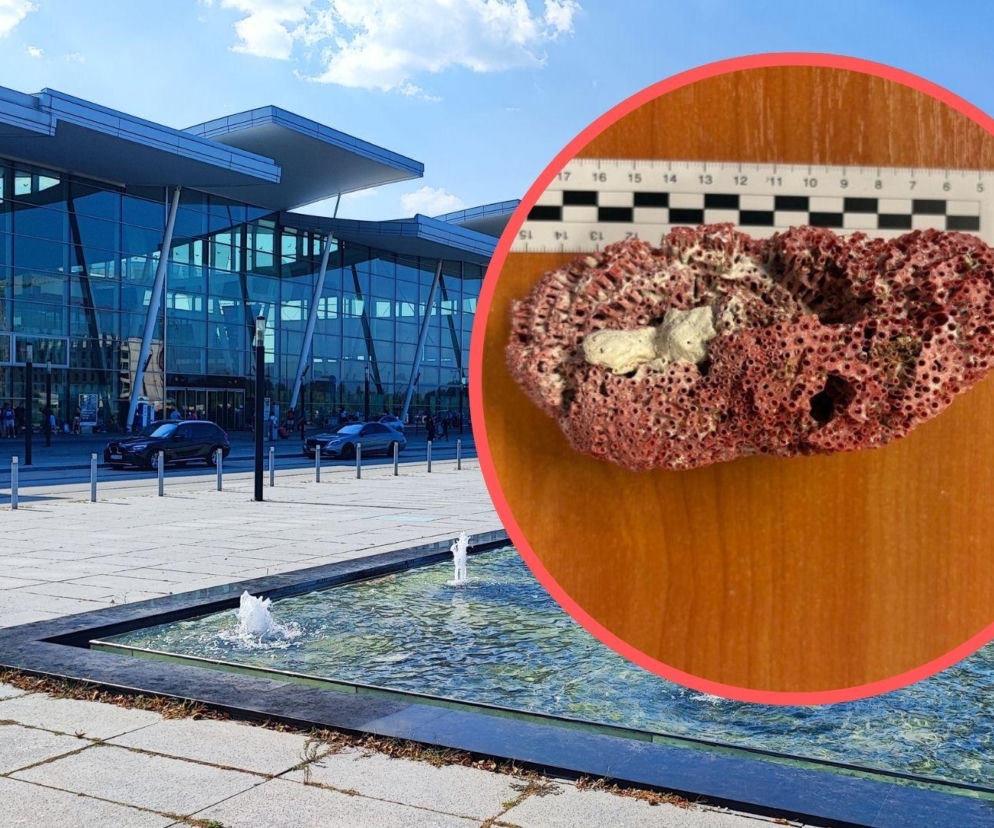 Przywiózł to z rajskich wakacji. Na lotnisku we Wrocławiu przeżył szok