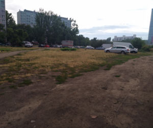 Wzdłuż parkingu Centrum Handlowego Arena wyrosną drzewa