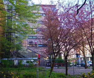 Instalacja „Friede sei mit Dir” w Berlinie