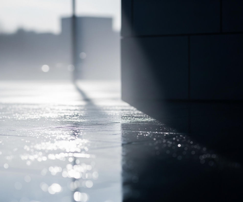 Gładka, mokra powierzchnia, przypominająca płytki lub polerowany beton, zajmuje dolną połowę obrazu. Na jej jasnoszarej, błyszczącej płaszczyźnie widoczne są liczne, drobne, rozmyte refleksy światła, przypominające krople wody. Prawa strona kadru jest zdominowana przez ciemny, pionowy element architektoniczny, prawdopodobnie ścianę, rzucający wyraźny cień ukośnie przez podłogę. W tle, rozmyte i niewyraźne, rysują się kontury drzew oraz niewyraźne budynki w jasnej, zamglonej scenerii.