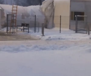 Na lodowisku zapadł się dach