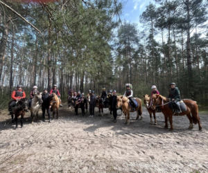 Wtórek. Konie dla zdrowia psychicznego dzieci i młodzieży. Ruszają kolejne projekty profilaktyczne [POSŁUCHAJ]