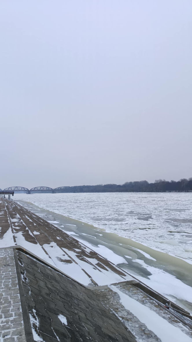 W Toruniu zamarzła Wisła