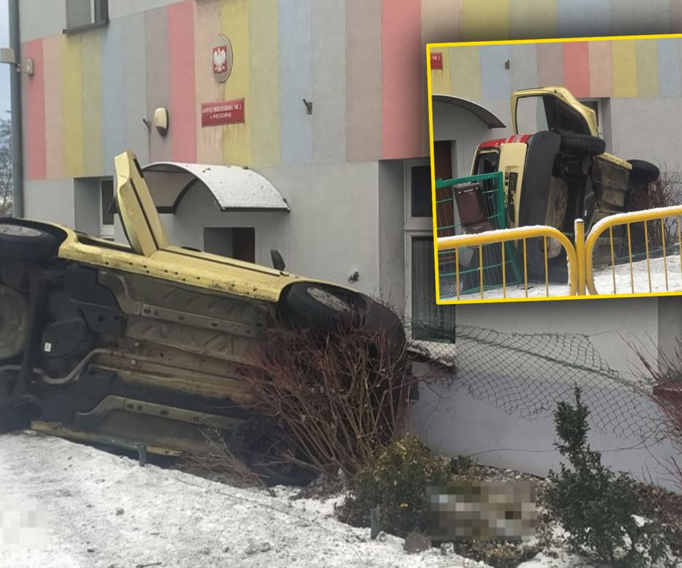Panda chciała wjechać do przedszkola