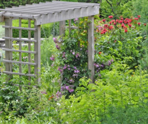 pergola