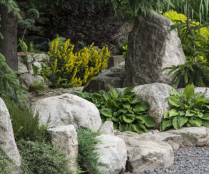 Ogród w stylu japońskim