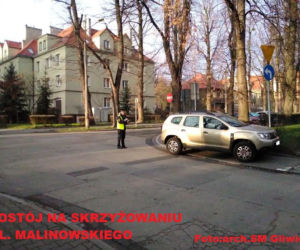 Stają na chodnikach, zatoczkach autobusowych i przejściach dla pieszych. Oto Mistrzowie Parkowania rodem z Gliwic 