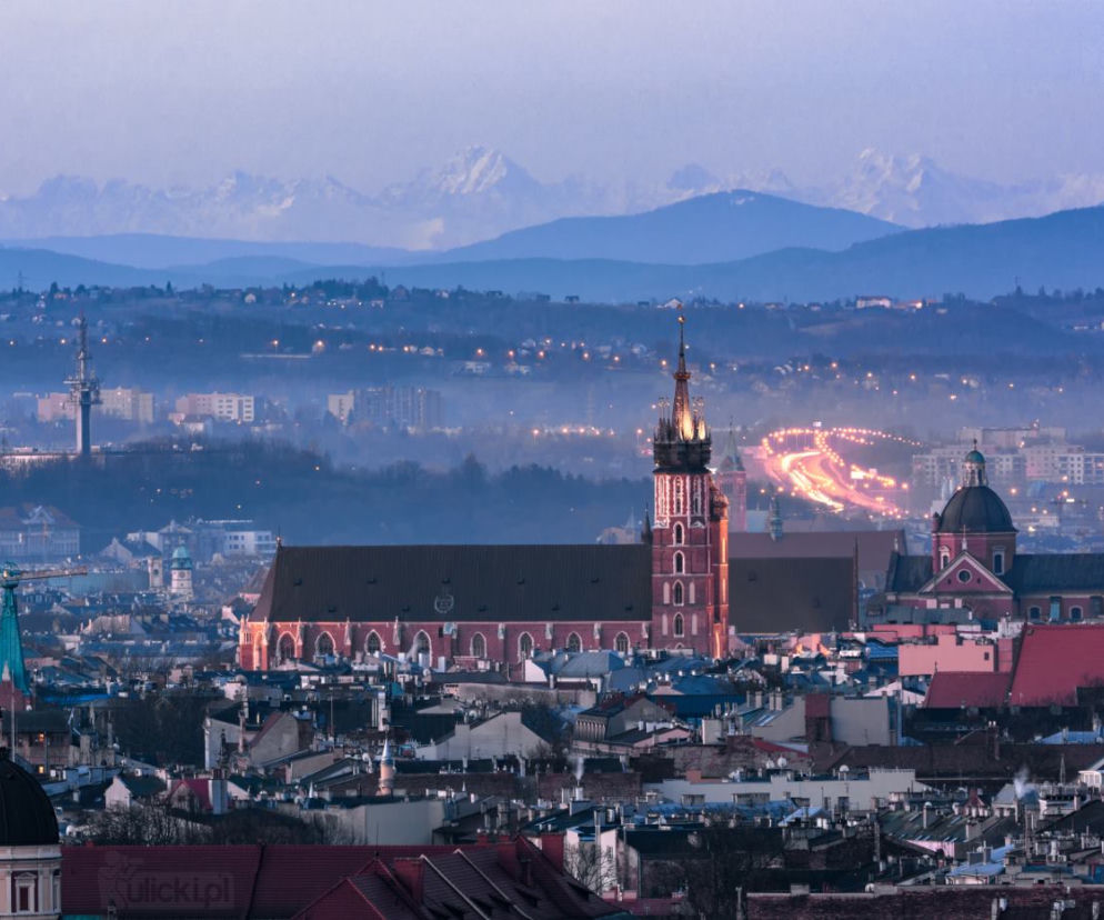 Zdjęcie dnia
