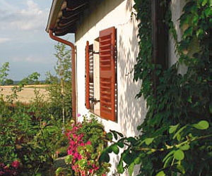 Budowa domu energooszczędnego - katalog ekologicznych możliwości