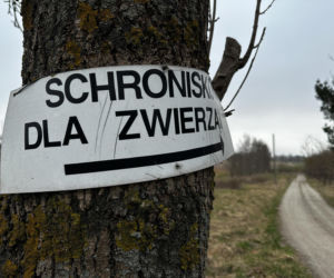 Zabrali dzieciom psa jak rzecz