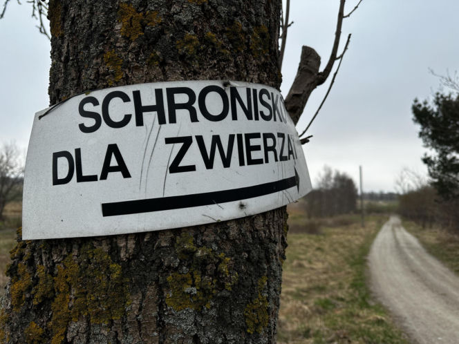 Zabrali dzieciom psa jak rzecz