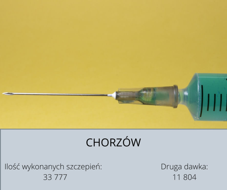 Koronawirus Śląskie. W tych powiatach zaszczepiono najwięcej osób [GALERIA] 