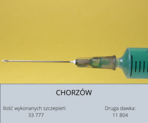 Koronawirus Śląskie. W tych powiatach zaszczepiono najwięcej osób [GALERIA] 