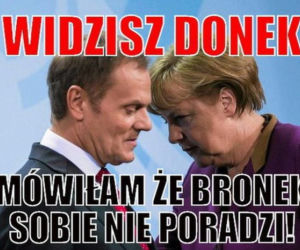 Memy wyborcze