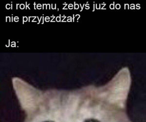Memy Wielkanoc 2020