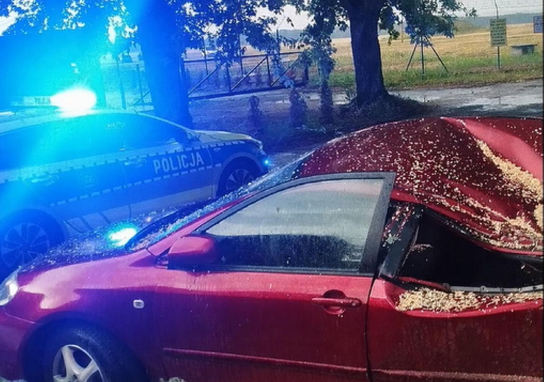 Krajobraz jak po apokalipsie! Potężna burza w Dęblinie. Drzewa miażdżyły samochody