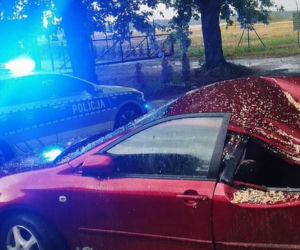 Krajobraz jak po apokalipsie! Potężna burza w Dęblinie. Drzewa miażdżyły samochody