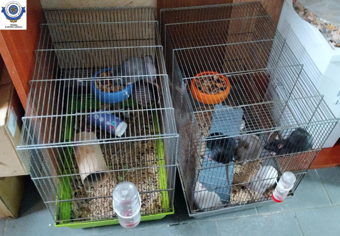 Dramatyczna interwencja w sklepie zoologicznym na Śląsku. Zwierzęta przetrzymywane w skandalicznych warunkach