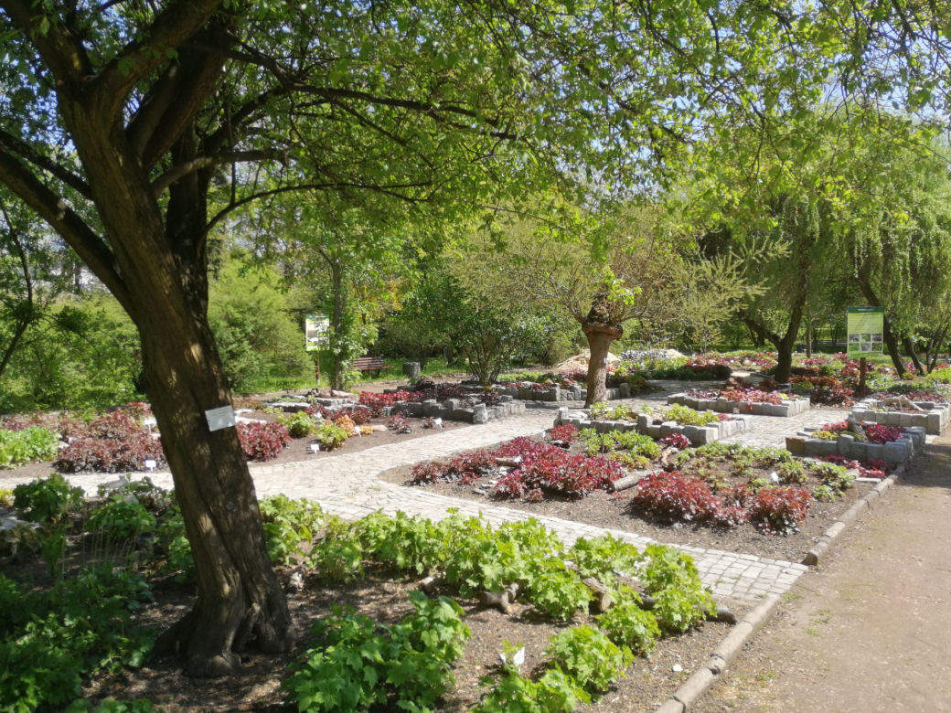 Miejski Ogród Botaniczny w Zabrzu