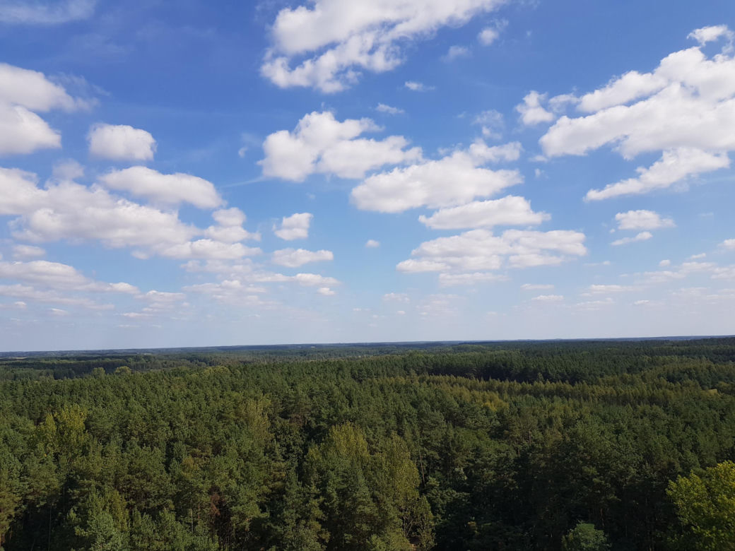 Wieża widokowa w Uhowie. To najwyższa wieża na Podlasiu [ZDJĘCIA]