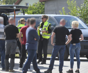 Do poszukiwań Dawidka zostały włączone specjalne psy niemieckiej policji