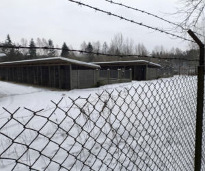 Pilne kontrole schronisk na Pomorzu. W niektórych kojcach woda dla zwierząt była zamarznięta